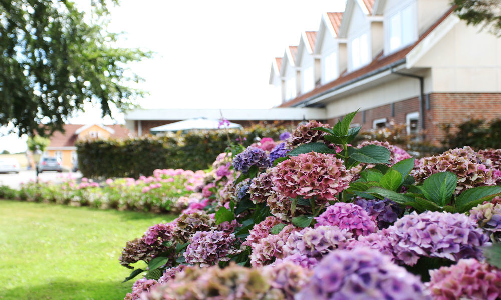 Fangel Kro & Hotel Bellinge Exterior foto